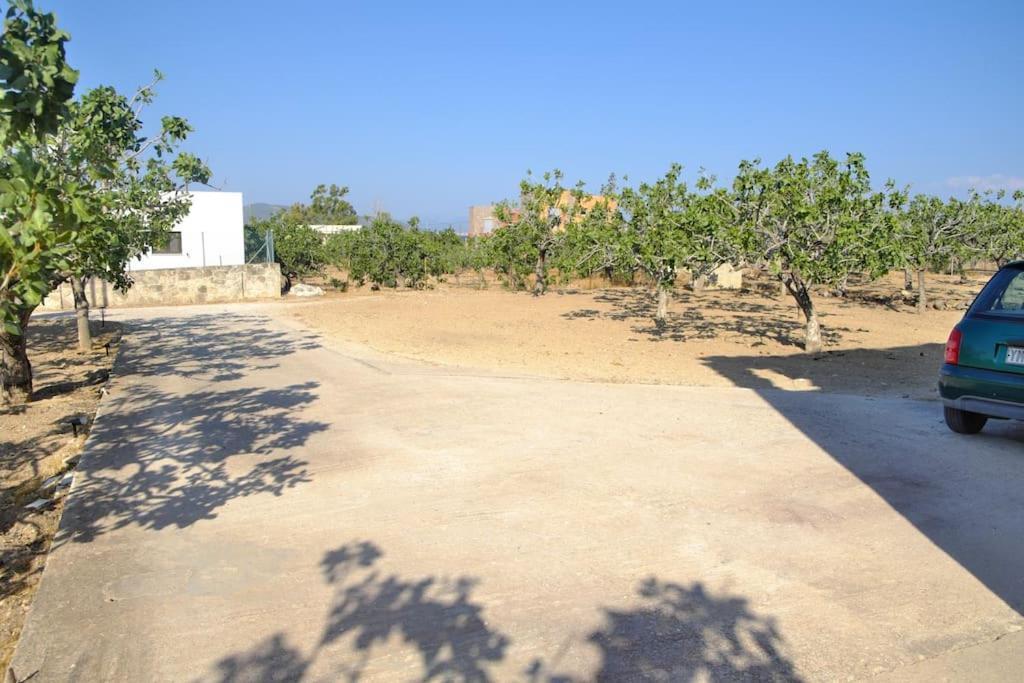 Вилла Nick'S House Aegina Экстерьер фото