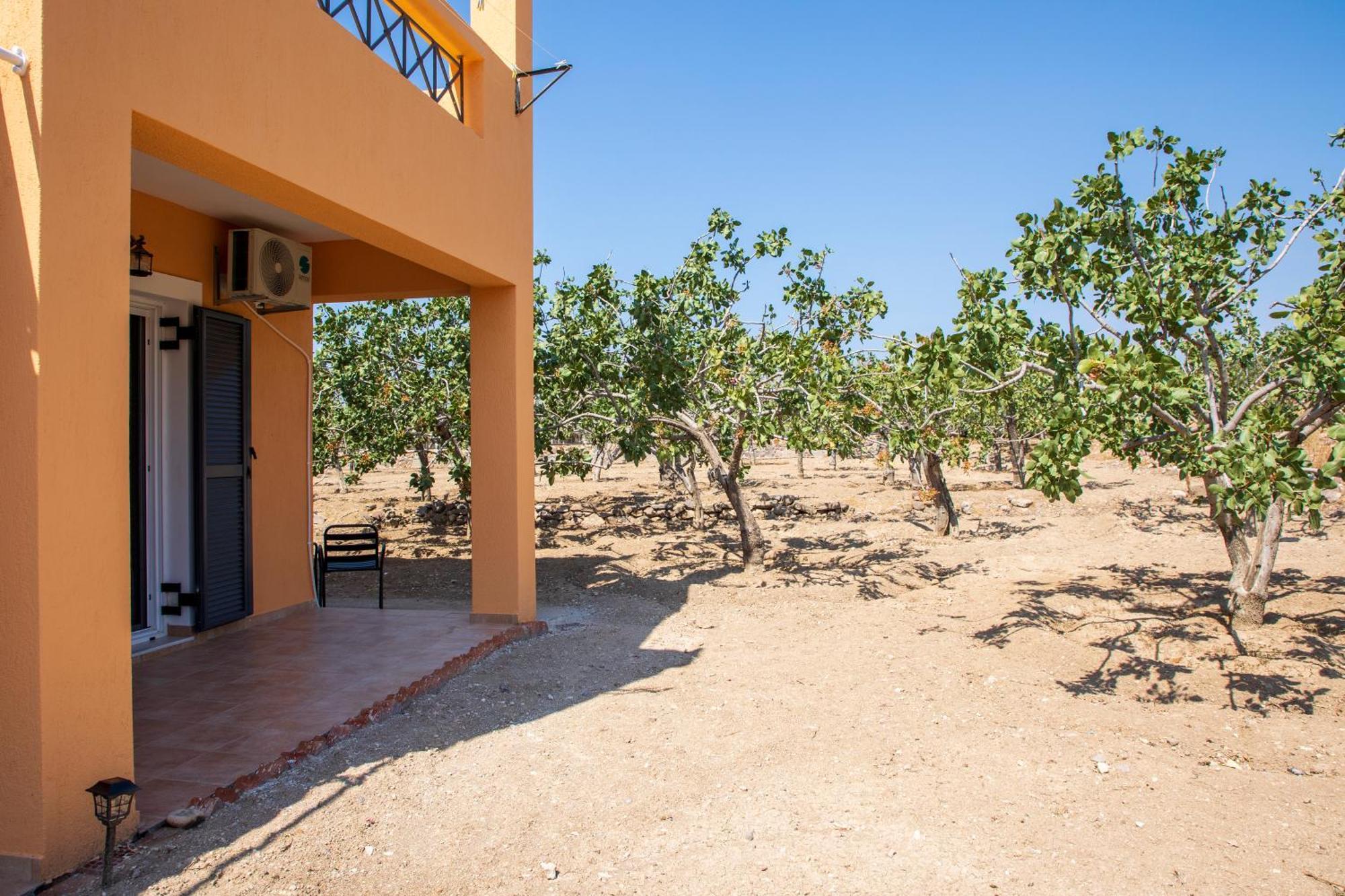 Вилла Nick'S House Aegina Экстерьер фото