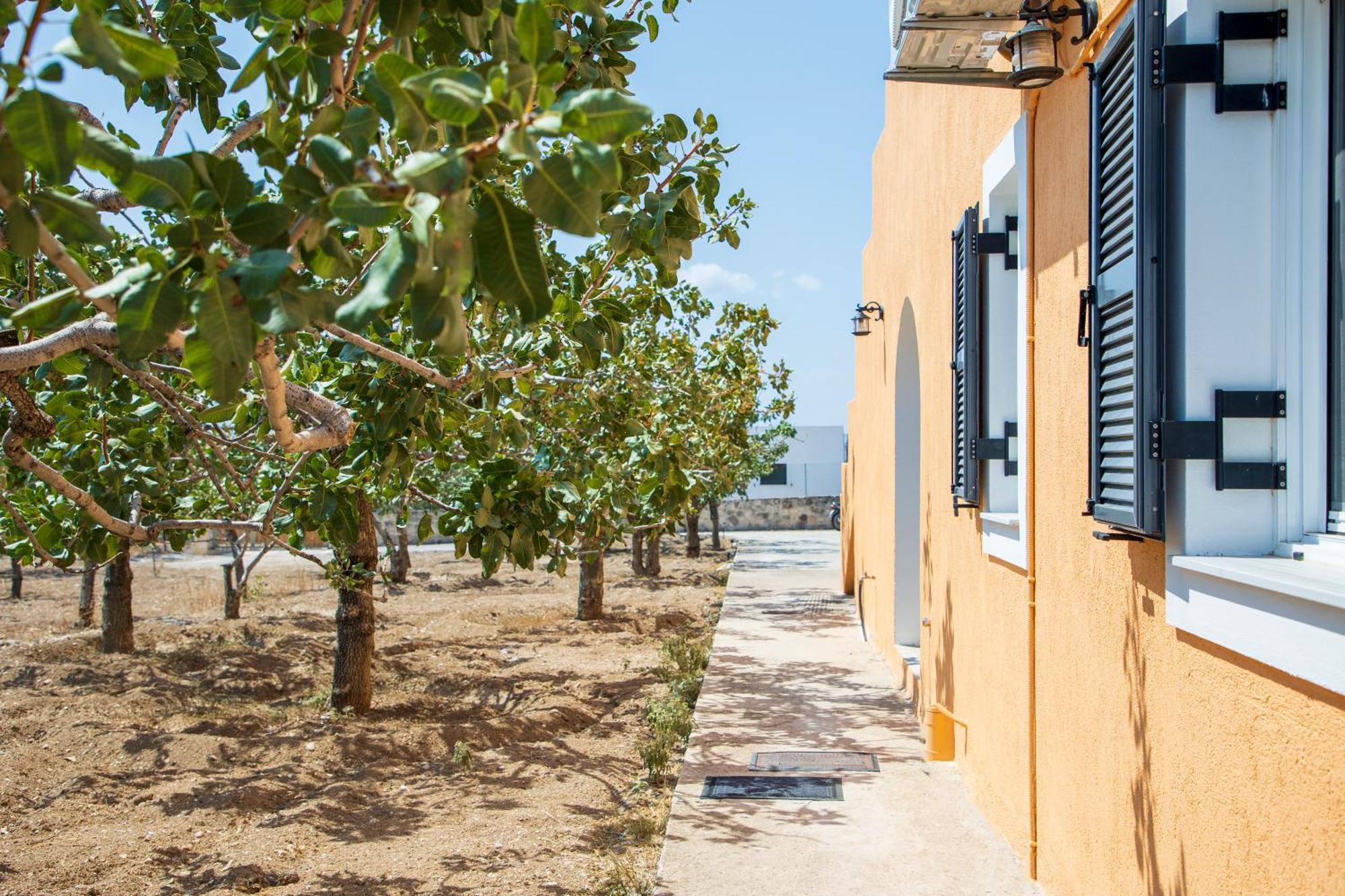 Вилла Nick'S House Aegina Экстерьер фото